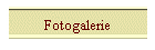 Fotogalerie